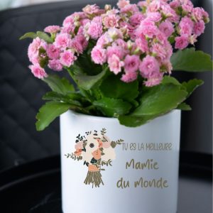 Grand Cache-Pot Personnalisé – Tu es la Meilleure | Pot de Fleurs Ø 145 mm | Bouquet Floral & Prénoms des Petits-Enfants | Cadeau Grand-Mère