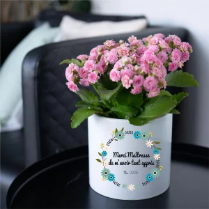 Grand cache-pot Merci Maîtresse personnalisé – Cadeau fin d’année scolaire avec prénom – Pot céramique 14,5x13,5 cm fleurs bleu et vert