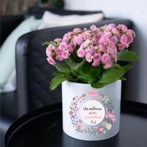 Cache-pot céramique “Une maîtresse en or” personnalisé – Cadeau fin d’année – Grand format 14,5 x 13,5 cm – Motif floral – Prénom enfant