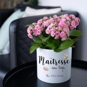 Cache-pot Maîtresse au top personnalisé – Cadeau fin d’année scolaire – Pot céramique Ø 14,5 x H 13,5 cm avec prénom – Déco fleurs pastel