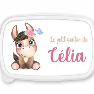 Boîte à goûter personnalisée prénom ânesse fleurie – Fond rose – Lunch box fille – Rentrée scolaire maternelle ou crèche