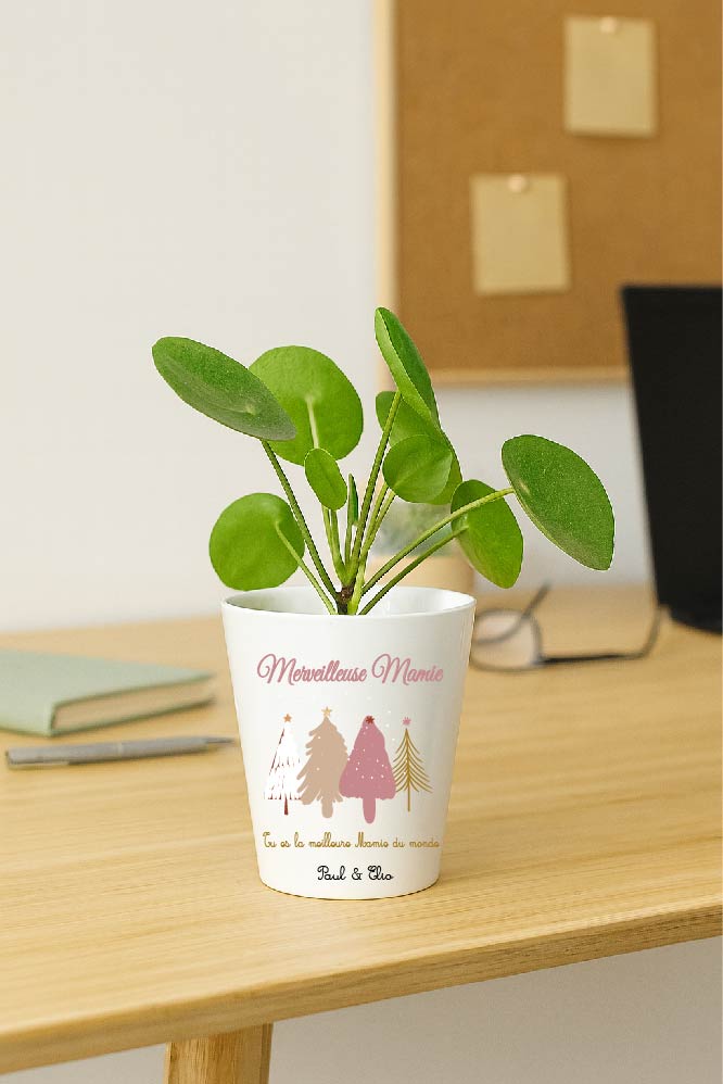 Pot de Noël personnalisable – Texte modifiable (surnom + message + prénoms) – Design sapins – Petit pot Cadeau Mamie / Marraine / Nounou – Image 6