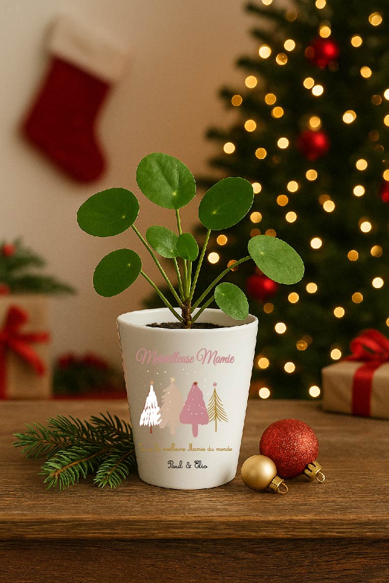 Pot de Noël personnalisable – Texte modifiable (surnom + message + prénoms) – Design sapins – Petit pot Cadeau Mamie / Marraine / Nounou – Image 5