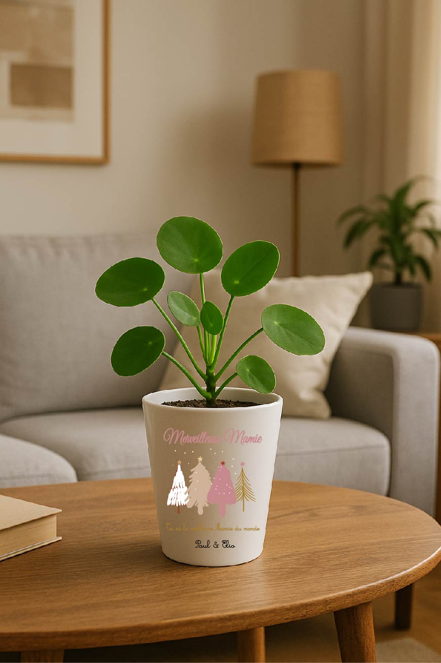 Pot de Noël personnalisable – Texte modifiable (surnom + message + prénoms) – Design sapins – Petit pot Cadeau Mamie / Marraine / Nounou – Image 4