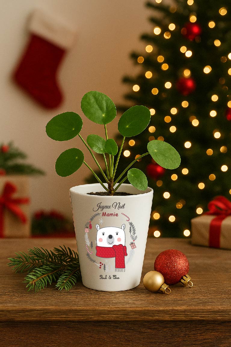Pot Noël personnalisable ours – Surnom + prénom au choix – Petit pot 10 cm avec trou de drainage – Cadeau Mamie / Marraine / Nounou – Image 5