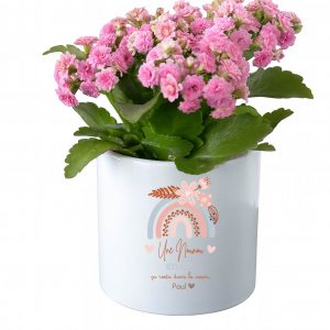 Pot personnalisé “Une nounou en or” – Cadeau fin d’année nounou – Pot à fleurs arc-en-ciel pastel – Cadeau enfant à sa nounou – Bébé Panda