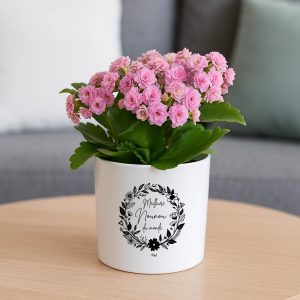 Cache-pot personnalisé “Meilleure Nounou du monde” – Cadeau fin d’année nounou – Pot de fleur céramique avec prénom – Cadeau merci nounou – Bébé Panda
