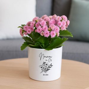Cache-pot personnalisé “Nounou en Or” – Cadeau fin d’année nounou – Pot de fleur céramique avec prénom – Cadeau merci nounou – Bébé Panda