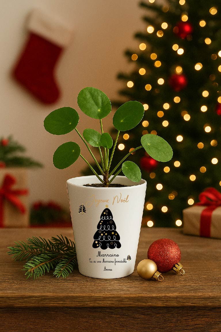 Pot de Noël personnalisable Surnom + phrase + prénom modifiables – Petit pot 10 cm avec trou de drainage – Cadeau Noël personnalisé – Image 5