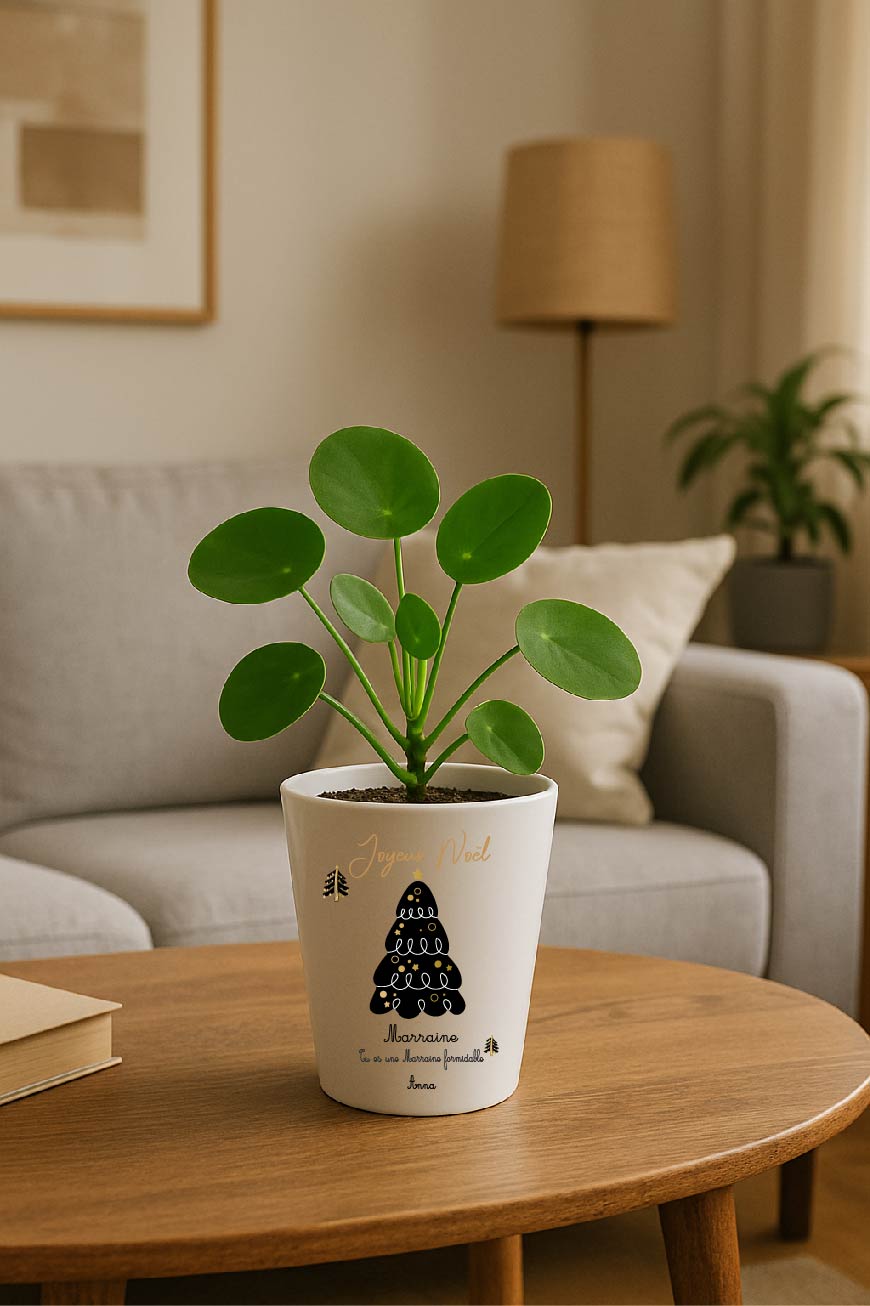 Pot de Noël personnalisable Surnom + phrase + prénom modifiables – Petit pot 10 cm avec trou de drainage – Cadeau Noël personnalisé – Image 4
